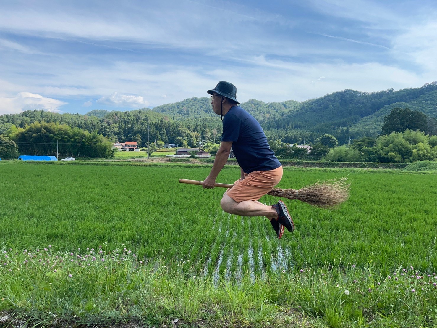 田んぼ風景